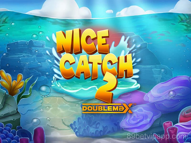 Nice Catch 2 Doublemax